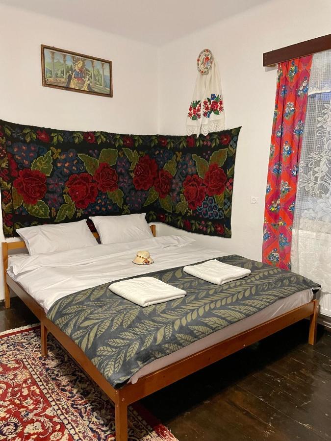 Villa Casa Fântâna - La poalele muntilor -50 de metri de pârtia Olimpică à Statiunea Extérieur photo
