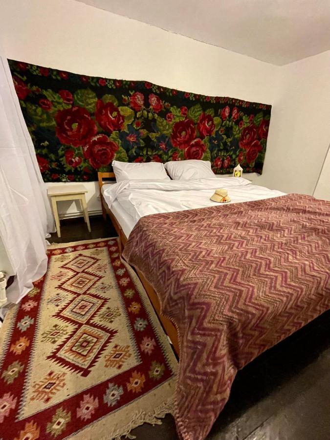 Villa Casa Fântâna - La poalele muntilor -50 de metri de pârtia Olimpică à Statiunea Extérieur photo